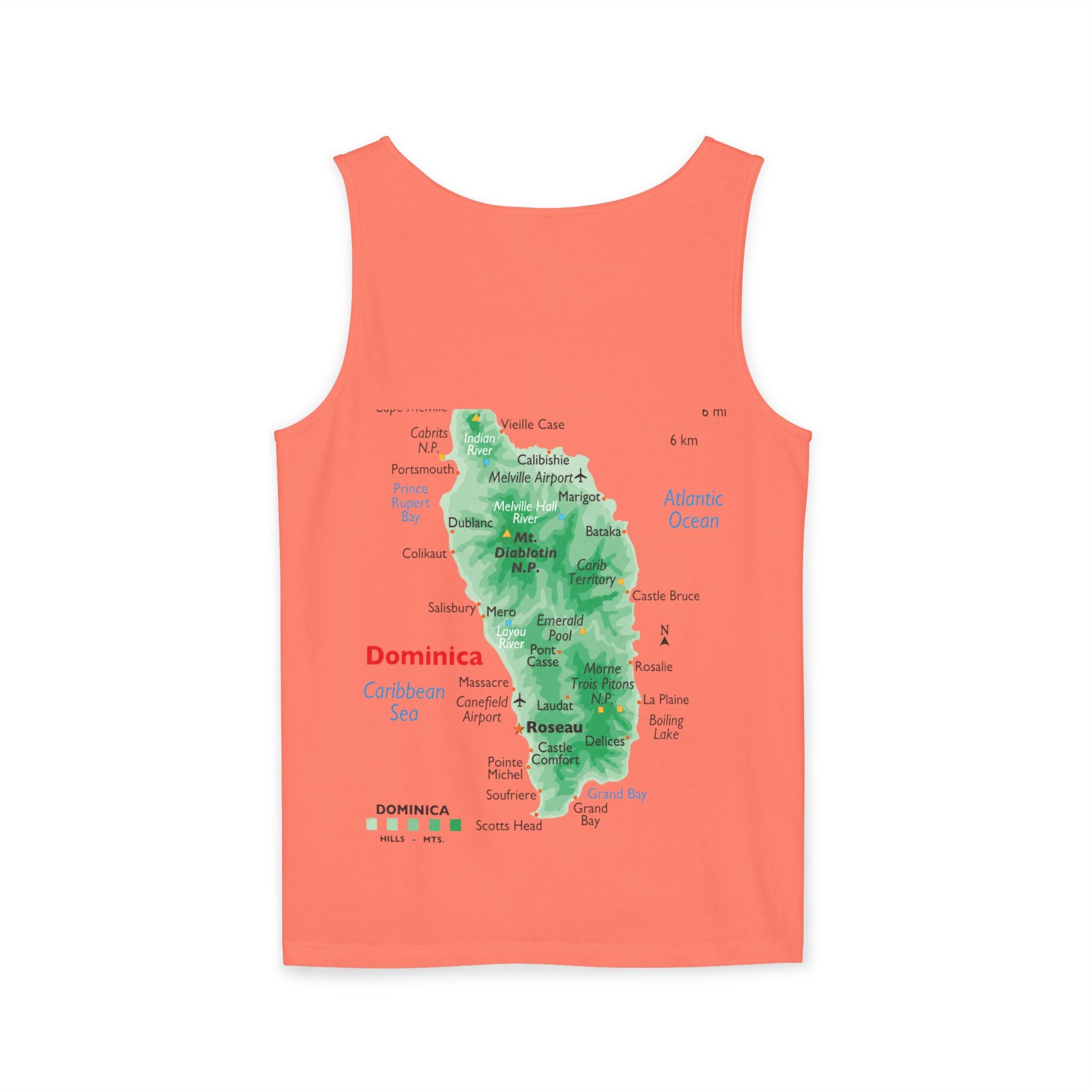 Unisex Garment-Dyed Tank Top