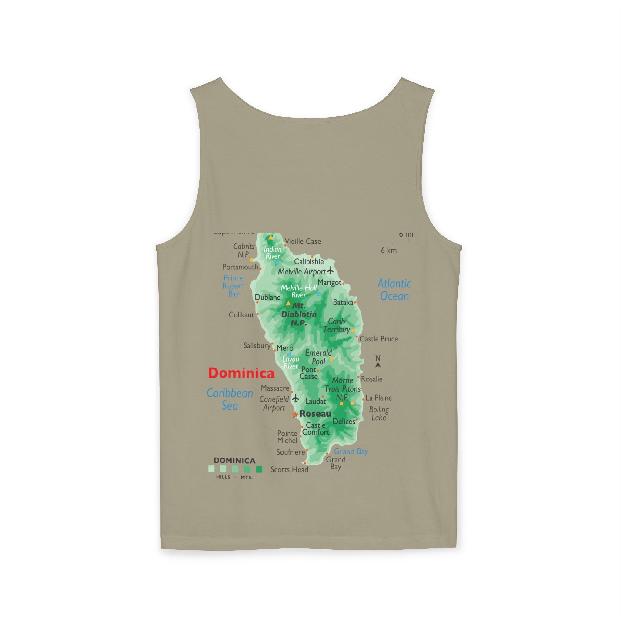 Unisex Garment-Dyed Tank Top