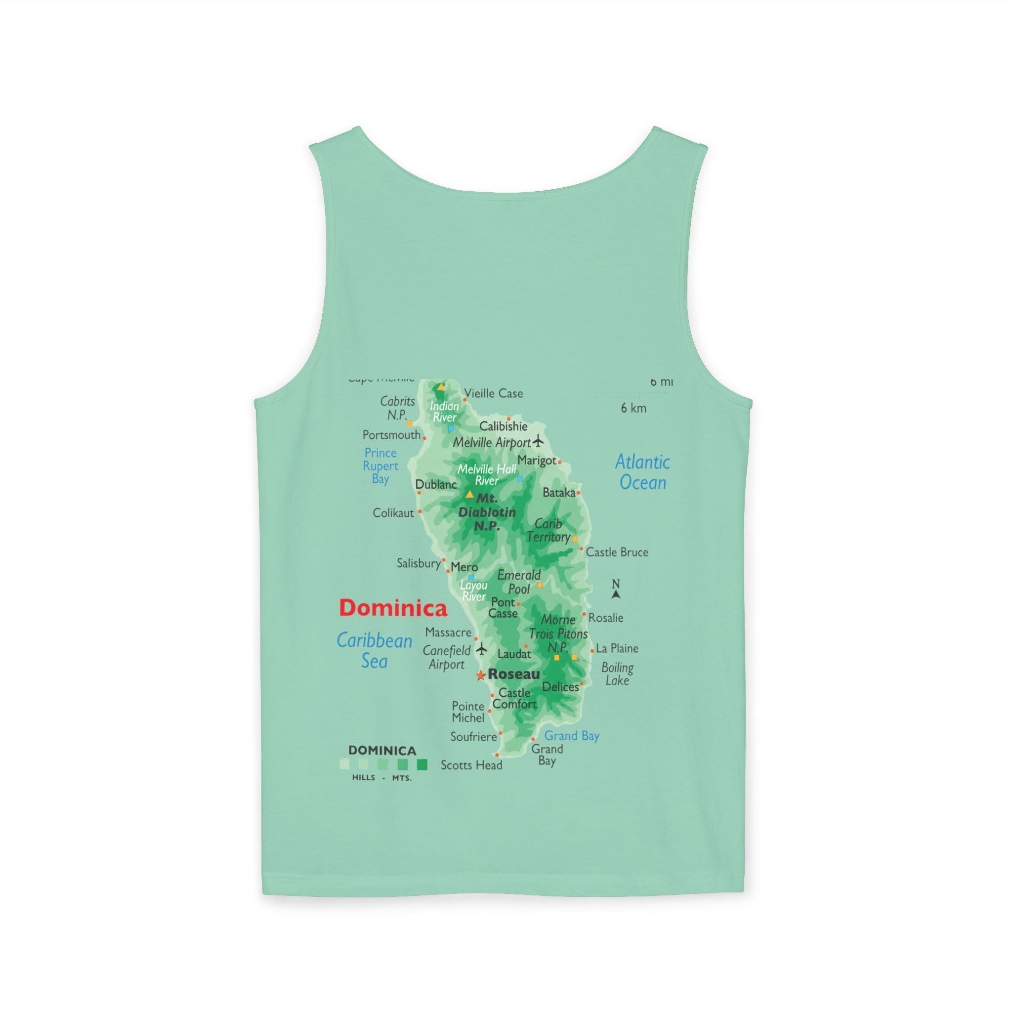Unisex Garment-Dyed Tank Top