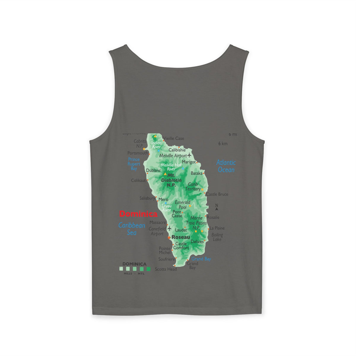 Unisex Garment-Dyed Tank Top
