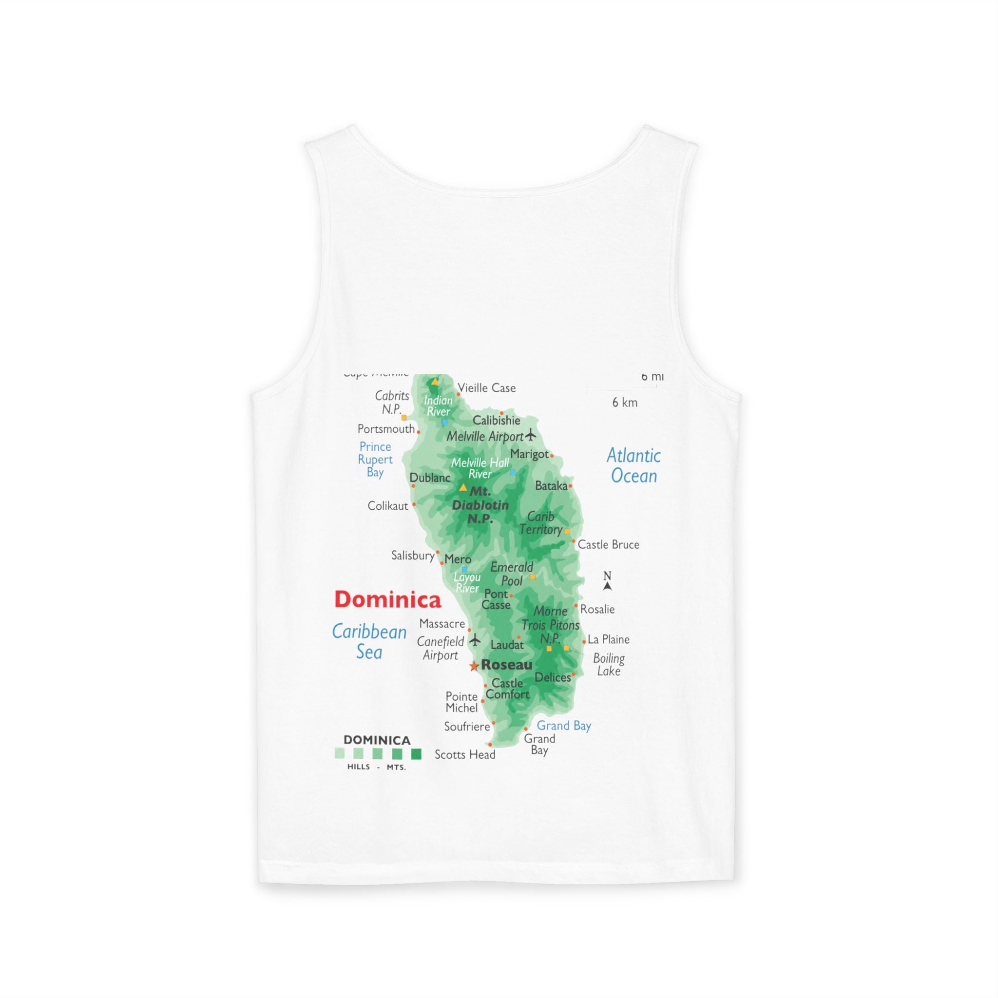 Unisex Garment-Dyed Tank Top