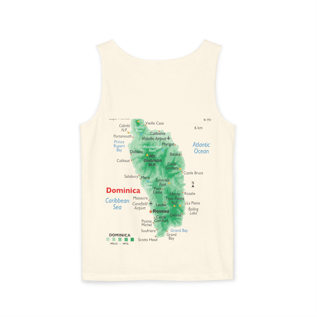 Unisex Garment-Dyed Tank Top