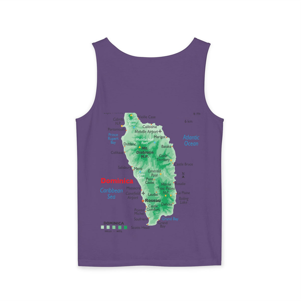 Unisex Garment-Dyed Tank Top