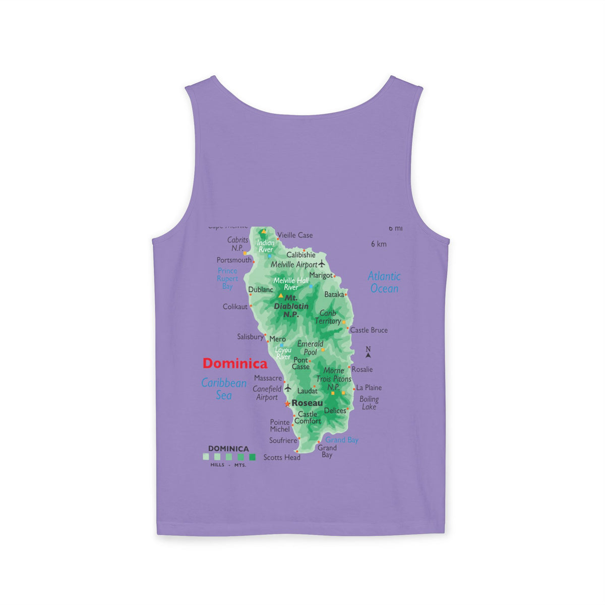 Unisex Garment-Dyed Tank Top